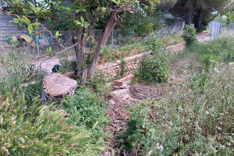 Finca i El Perello, Tarragona, El Perello - € 35 000 | Ref: Finca rústica p - foto 25